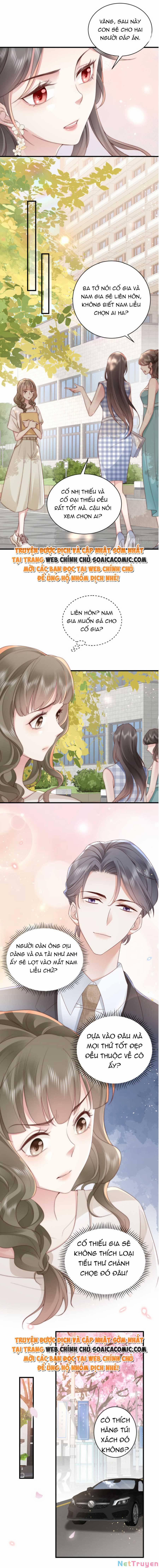 Xuyên Nhanh: Bệnh Kiều Đại Lão Cứ Dính Người 8 trang 6