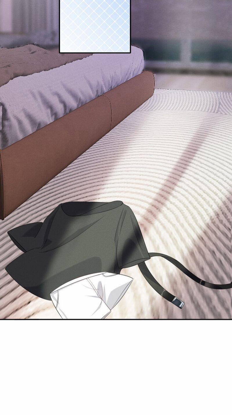 Xuyên Nhanh Chi Cải Tạo Bắt Đầu Lại Làm Người 19 trang 16