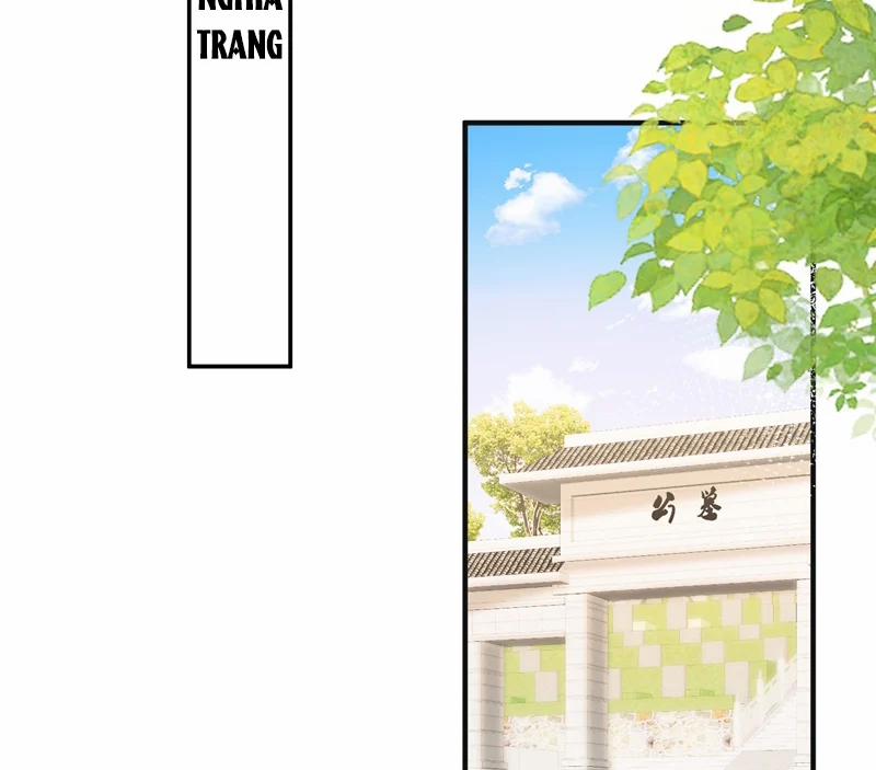 Xuyên Nhanh Chi Cải Tạo Bắt Đầu Lại Làm Người 77 trang 46