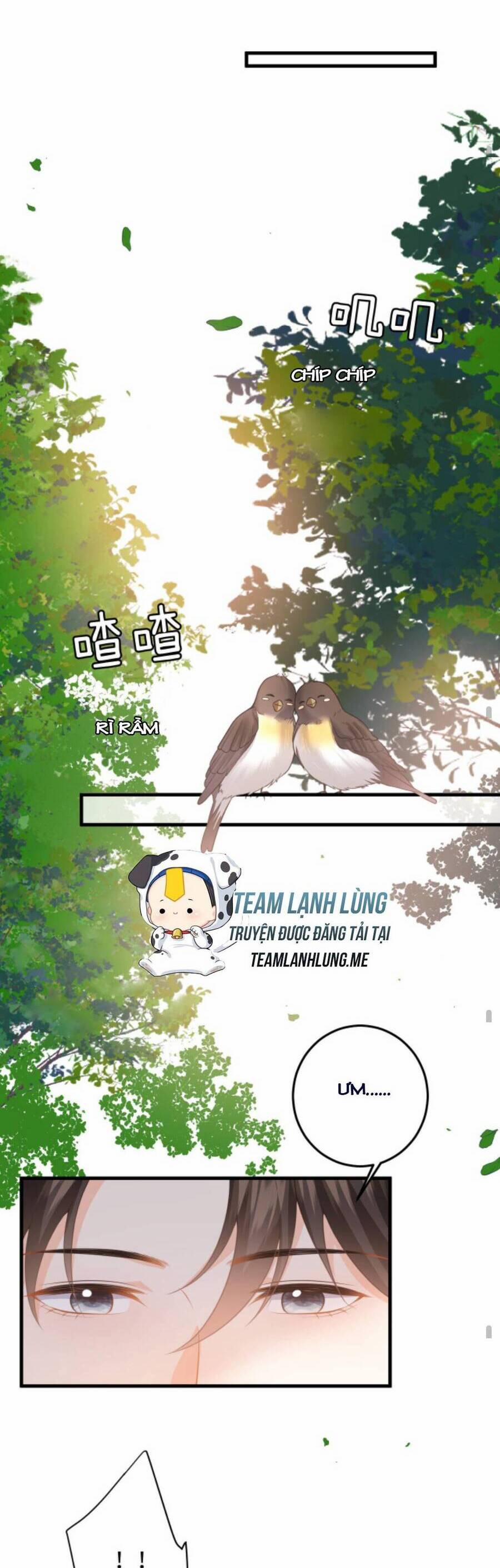 Xuyên Nhanh : Nhân Vật Phản Diện Quá Nuông Chiều Ta 109 trang 13