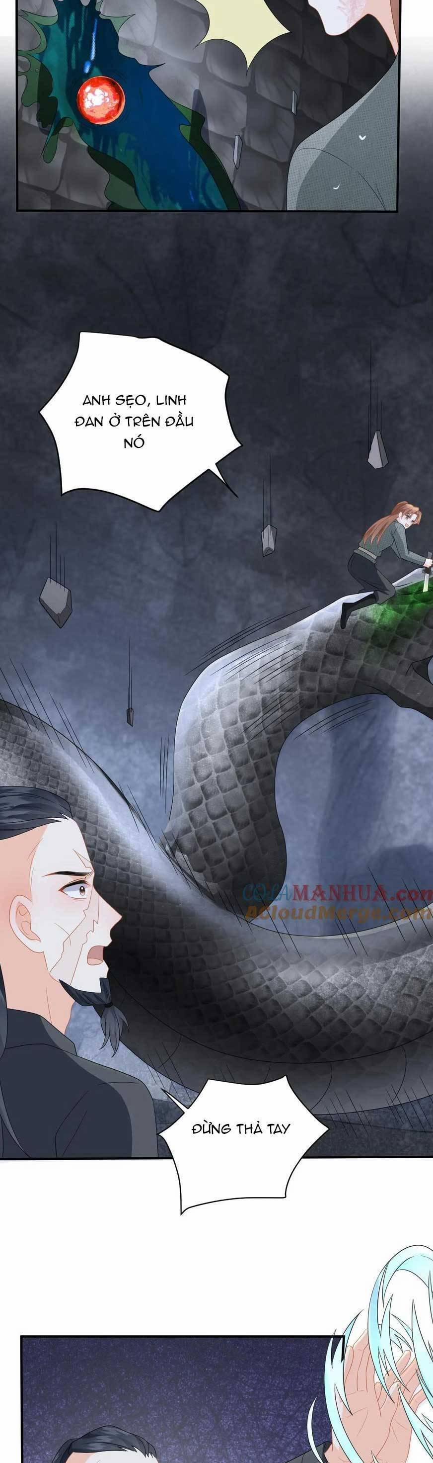 Xuyên Nhanh: Phản Diện Quá Sủng Quá Mê Người 195 trang 13