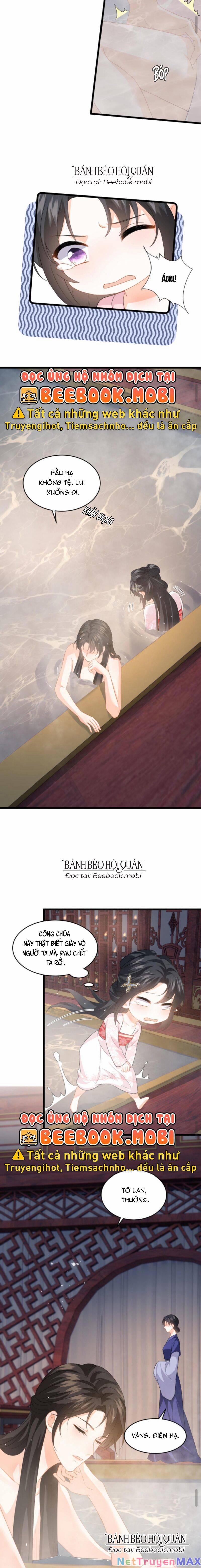 Xuyên Nhanh: Phản Diện Quá Sủng Quá Mê Người 62 trang 5