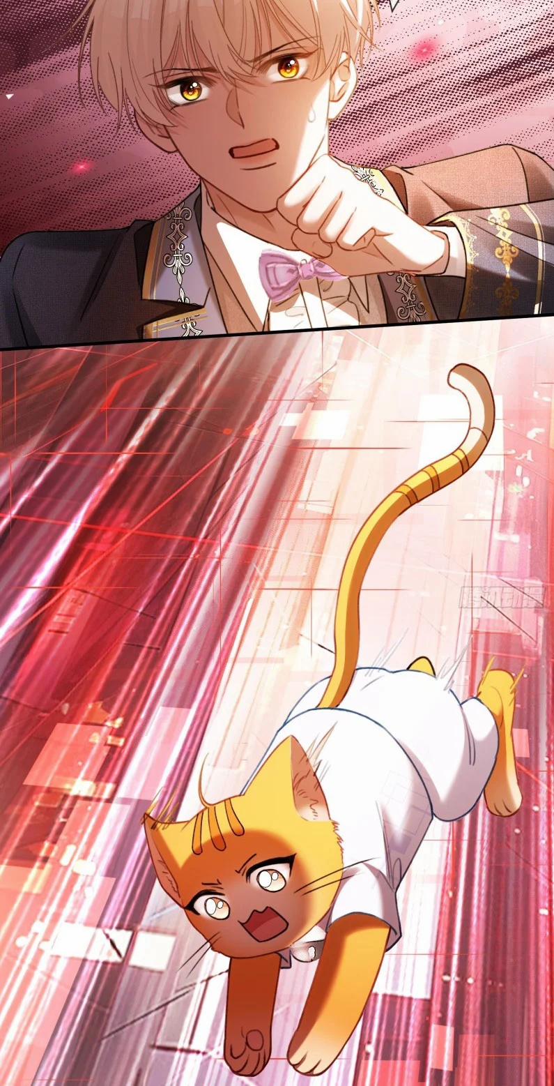 Xuyên Nhanh: Quan Hệ Gây Nghiện 81 trang 13