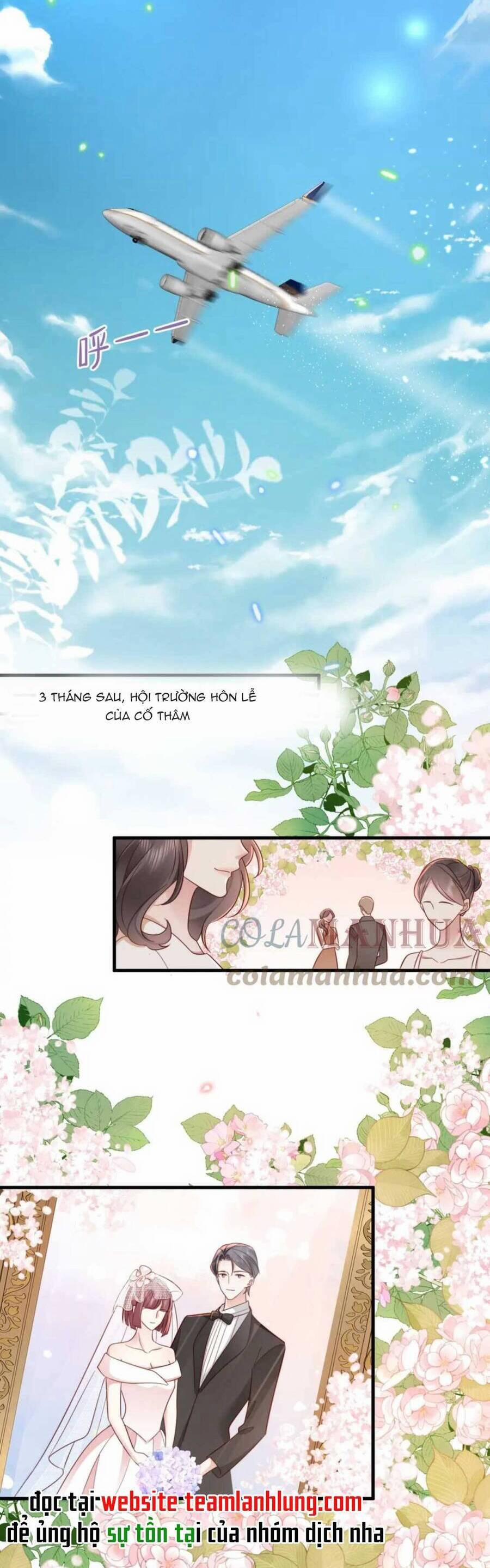 Xuyên Nhanh : Thiếu Gia Ốm Yếu Rất Dính Người 17 trang 4