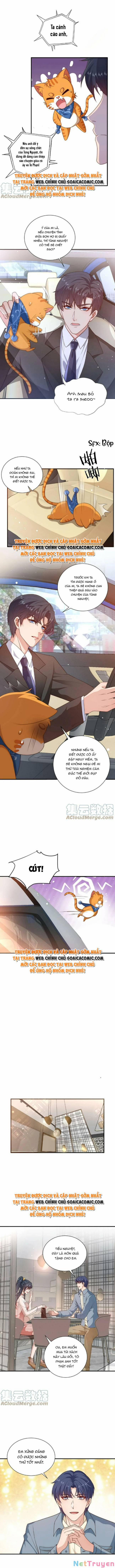 Xuyên Nhanh: Tra Nam Này Không Khó Trị 16 trang 3