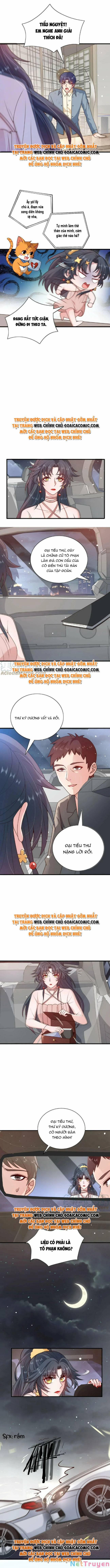 Xuyên Nhanh: Tra Nam Này Không Khó Trị 17 trang 2