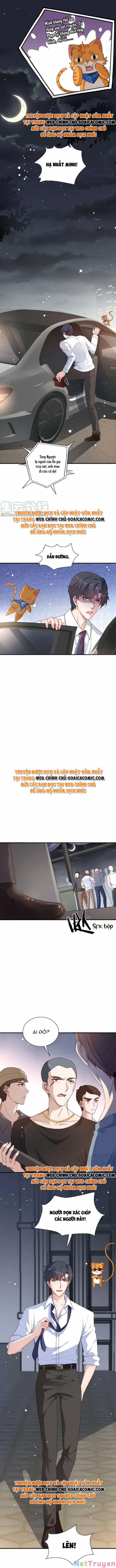 Xuyên Nhanh: Tra Nam Này Không Khó Trị 17 trang 4