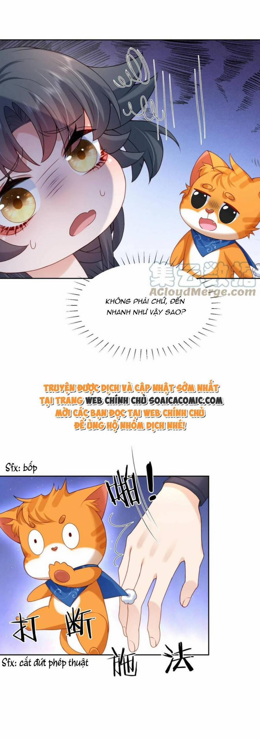 Xuyên Nhanh: Tra Nam Này Không Khó Trị 27 trang 19