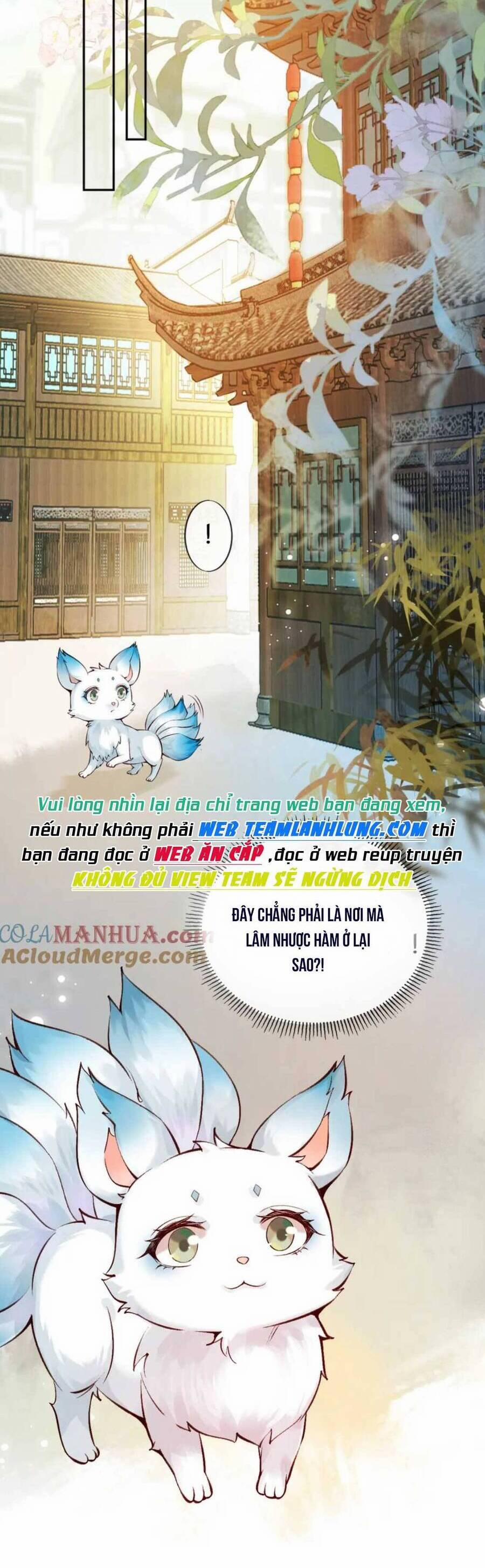 Xuyên Sách: Nghịch Đồ Lại Muốn Ức Hiếp Sư Phụ 23 trang 17