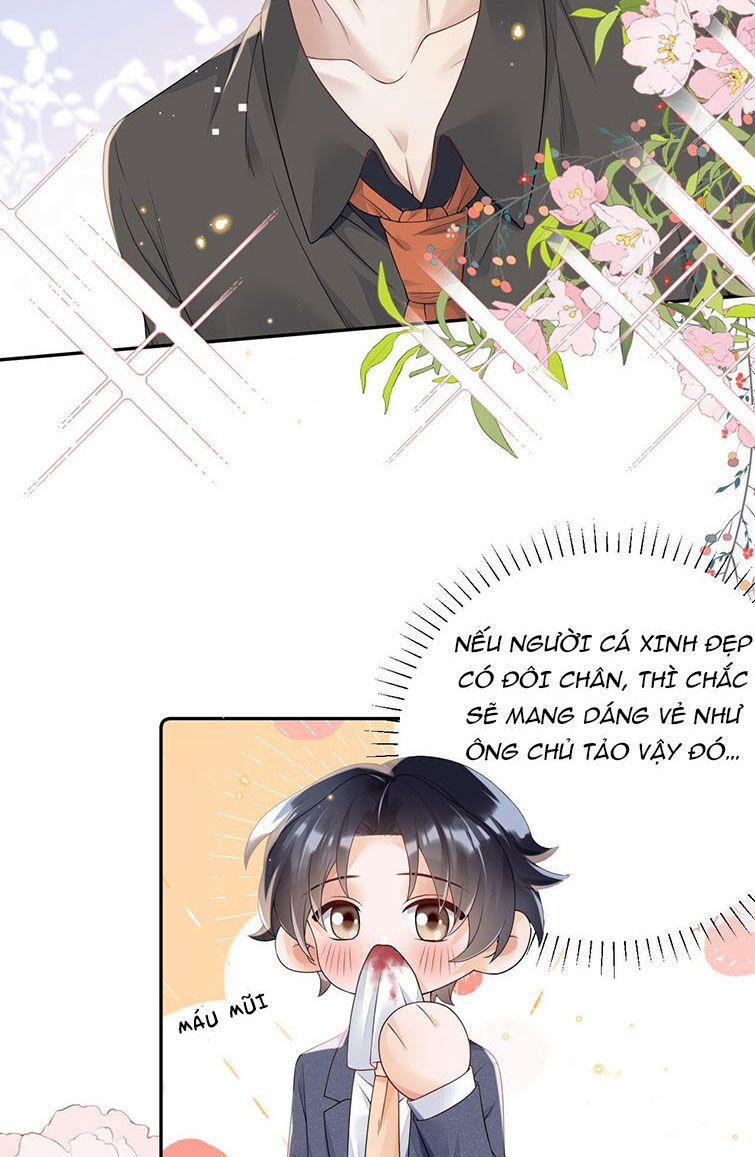 Xuyên Thành Bí Thư Khổ Bức Trong Truyện Bá Tổng 14 trang 19