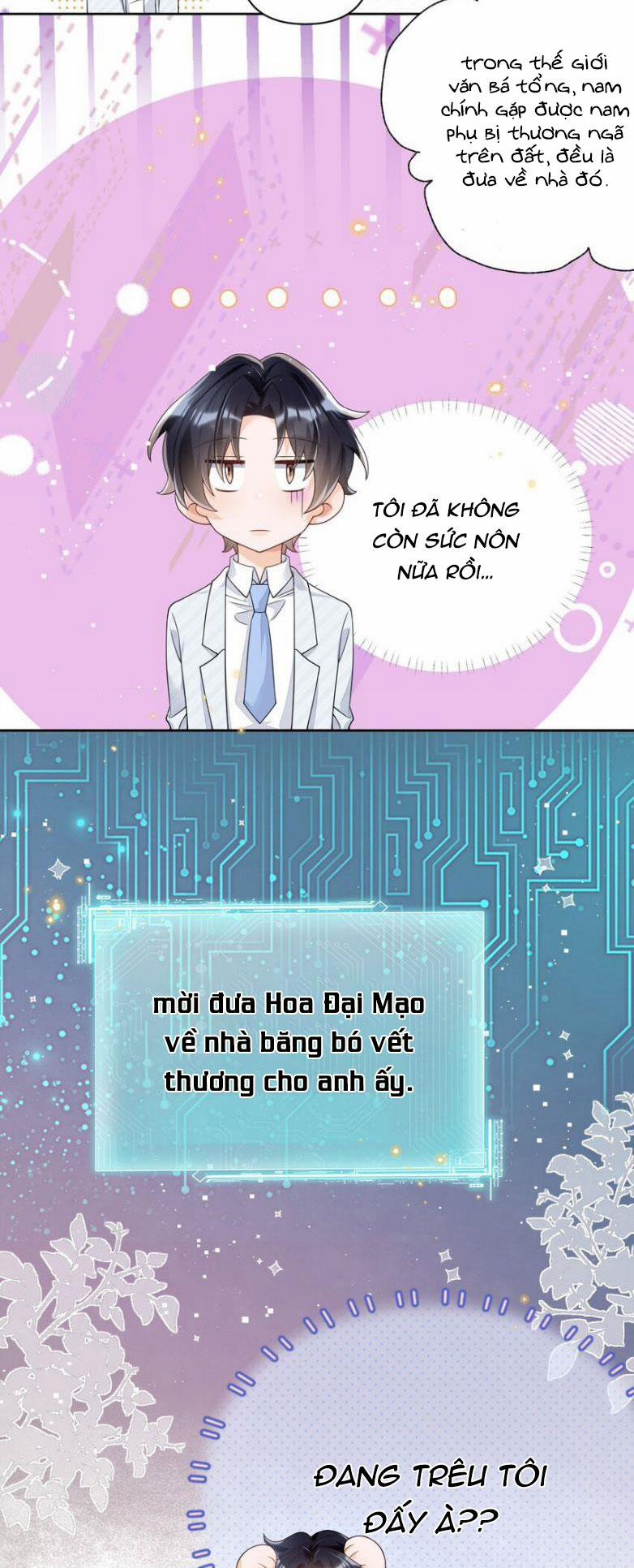 Xuyên Thành Bí Thư Khổ Bức Trong Truyện Bá Tổng 21 trang 6