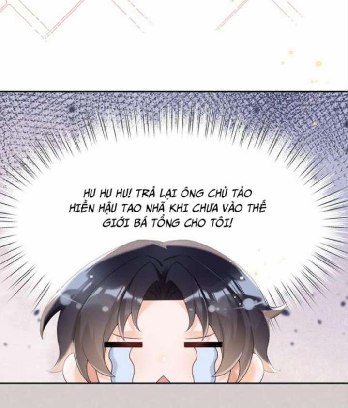 Xuyên Thành Bí Thư Khổ Bức Trong Truyện Bá Tổng 24 trang 24