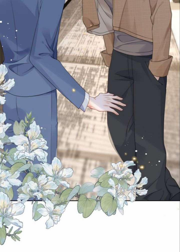 Xuyên Thành Bí Thư Khổ Bức Trong Truyện Bá Tổng 24 trang 42