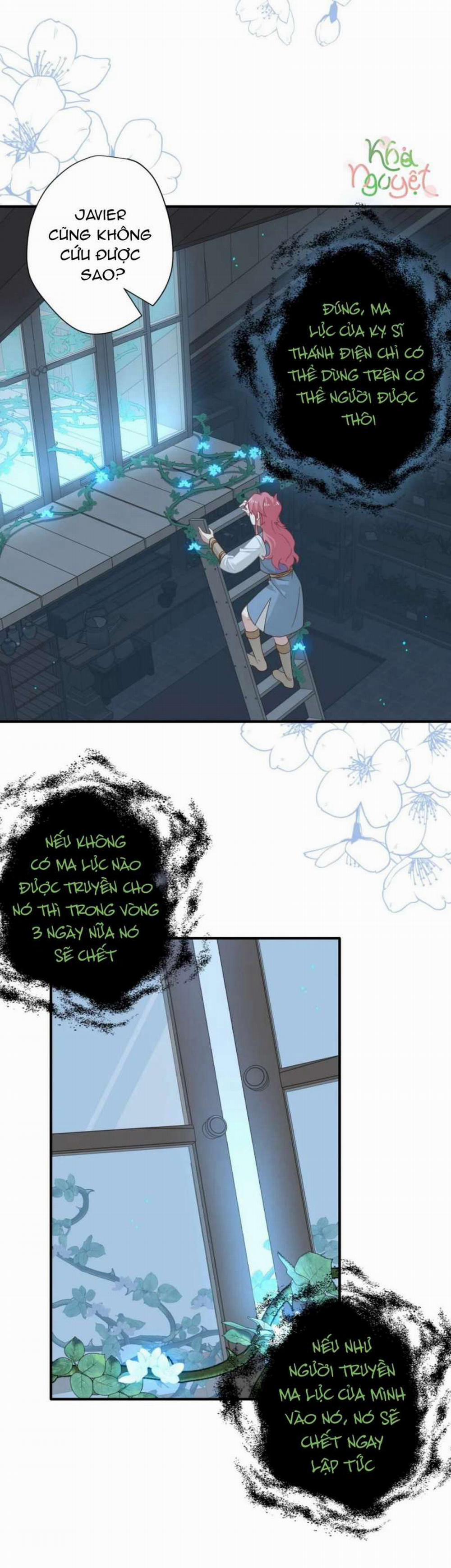 Xuyên Thành Phù Thủy Nuôi Dưỡng Kỵ Sĩ Thánh Điện 12 trang 22