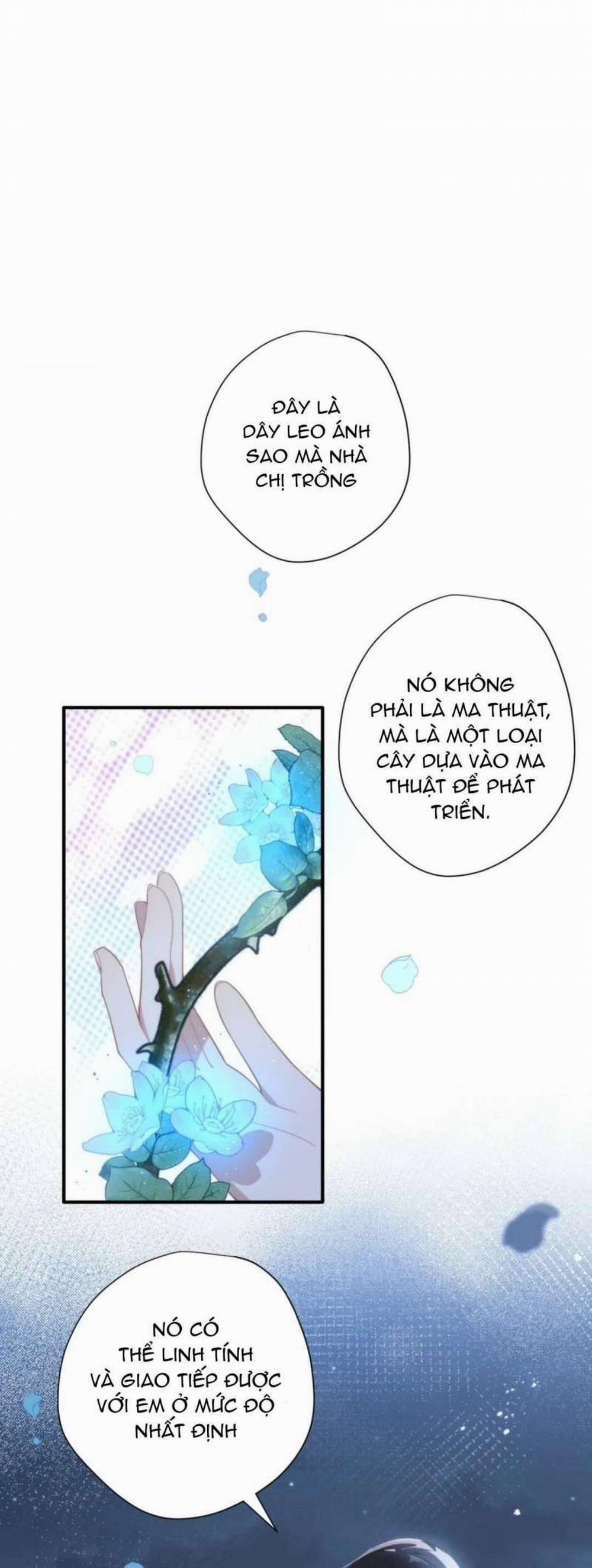 Xuyên Thành Phù Thủy Nuôi Dưỡng Kỵ Sĩ Thánh Điện 13 trang 1