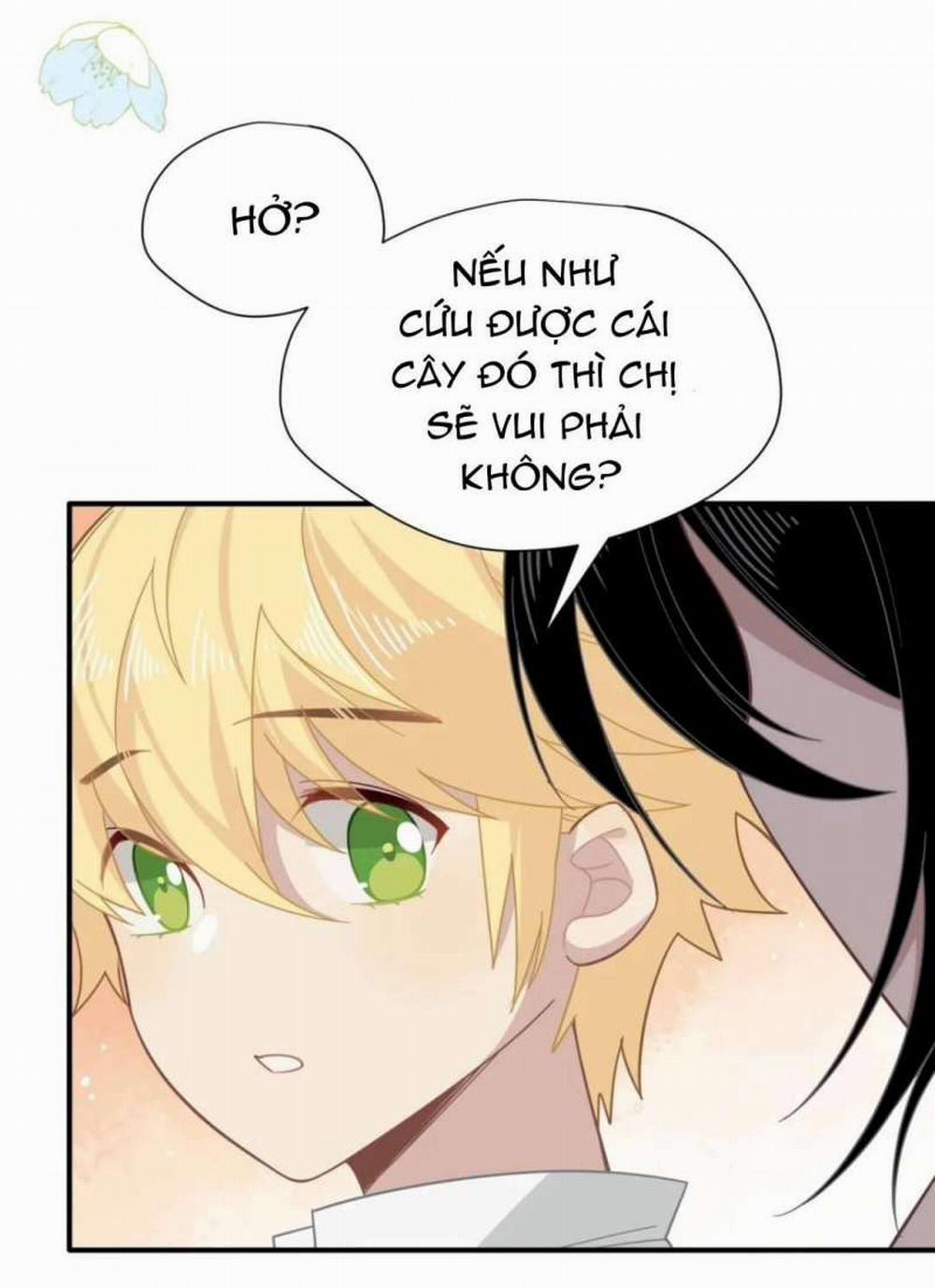 Xuyên Thành Phù Thủy Nuôi Dưỡng Kỵ Sĩ Thánh Điện 13 trang 17