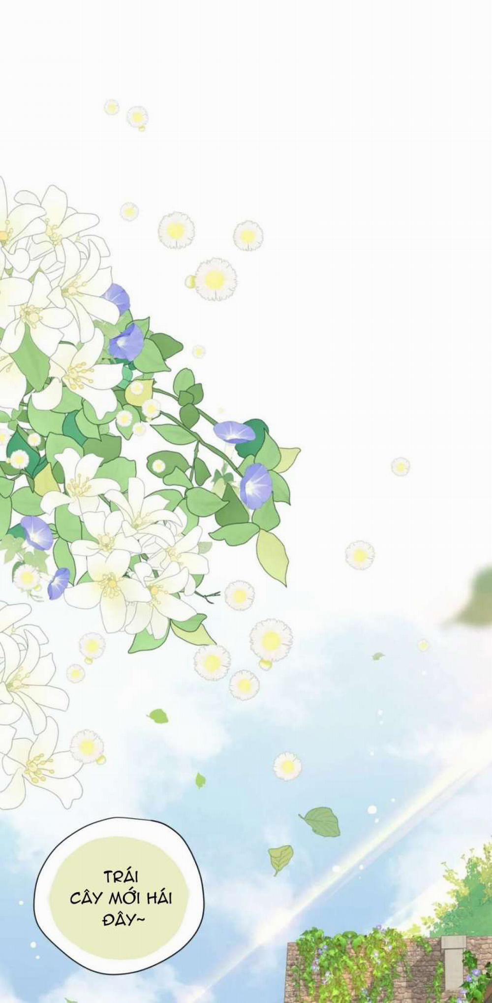 Xuyên Thành Phù Thủy Nuôi Dưỡng Kỵ Sĩ Thánh Điện 18 trang 1