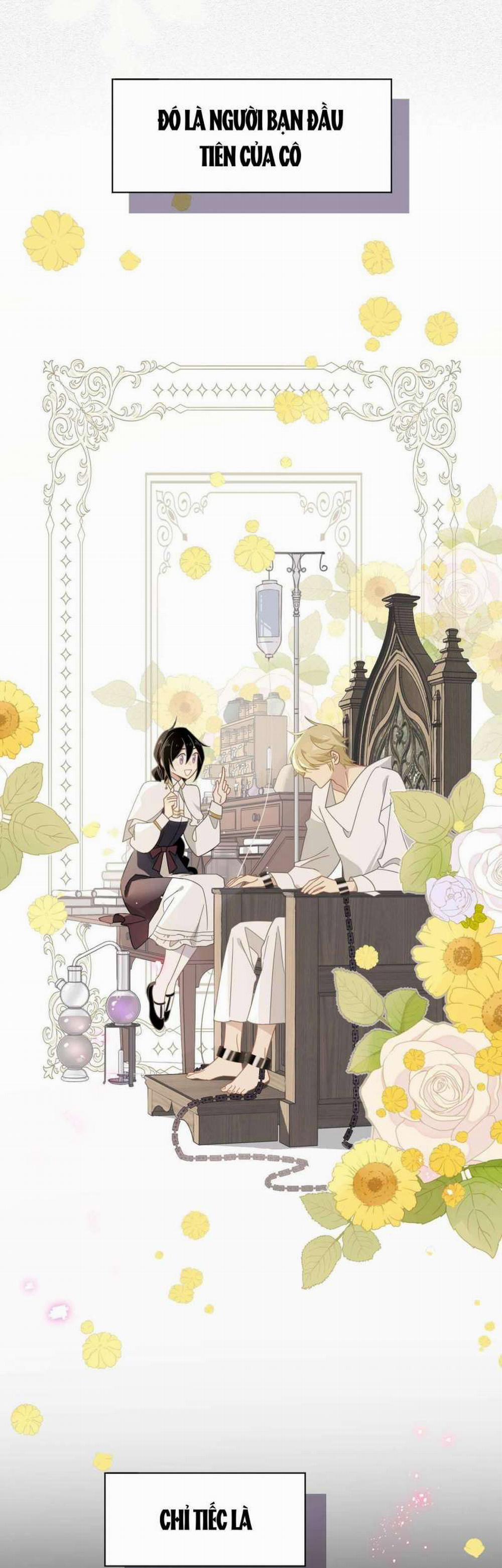 Xuyên Thành Phù Thủy Nuôi Dưỡng Kỵ Sĩ Thánh Điện 28 trang 29