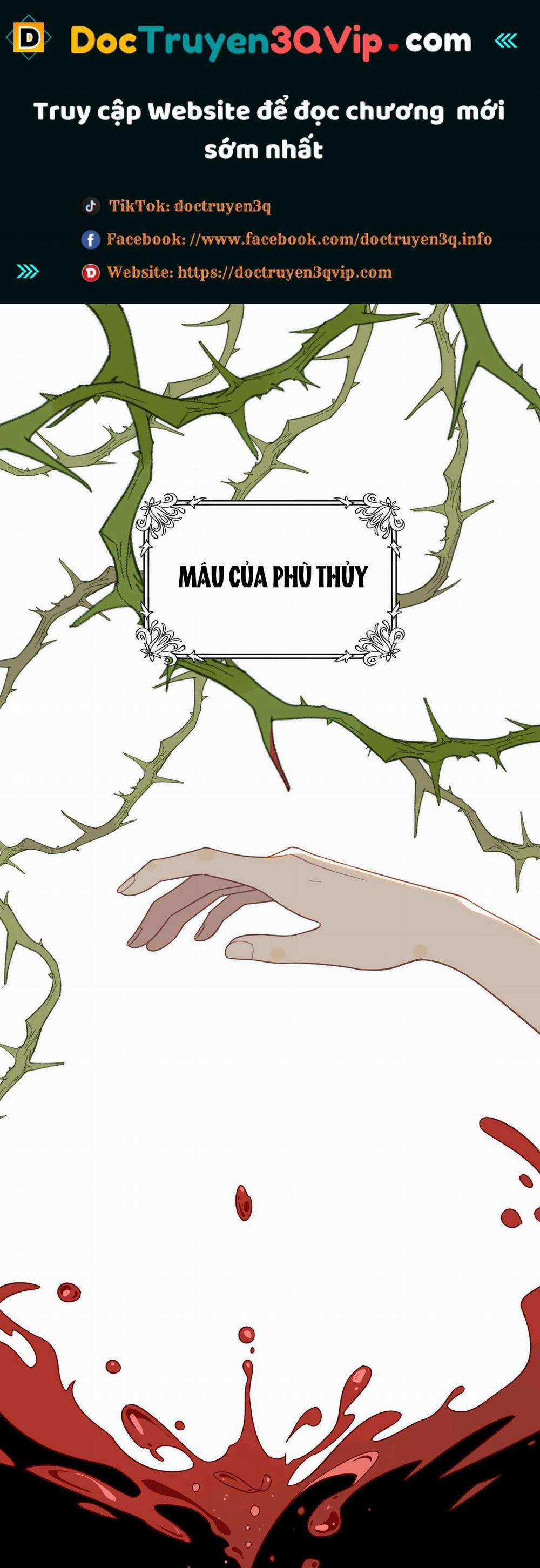 Xuyên Thành Phù Thủy Nuôi Dưỡng Kỵ Sĩ Thánh Điện 29 trang 0