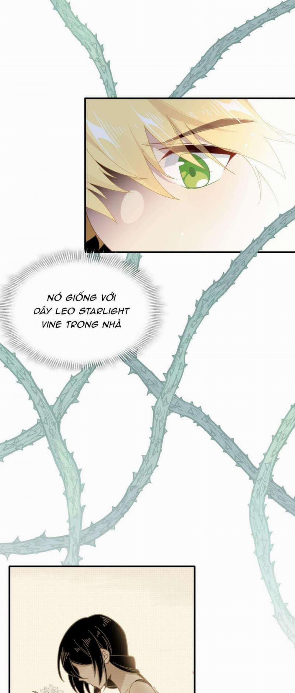 Xuyên Thành Phù Thủy Nuôi Dưỡng Kỵ Sĩ Thánh Điện 34 trang 18