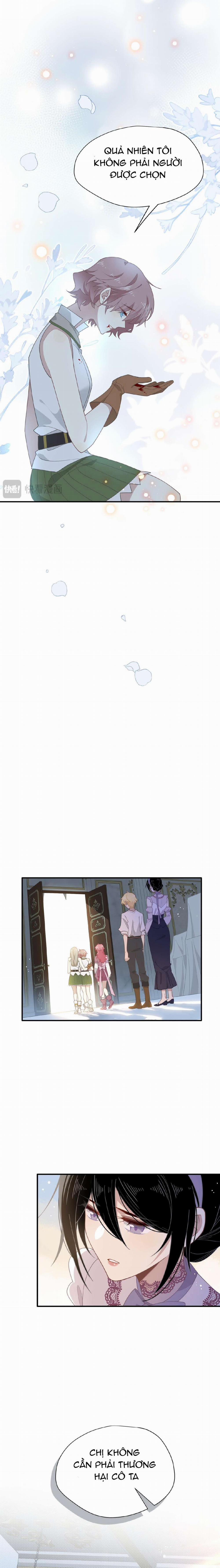 Xuyên Thành Phù Thủy Nuôi Dưỡng Kỵ Sĩ Thánh Điện 39 trang 7