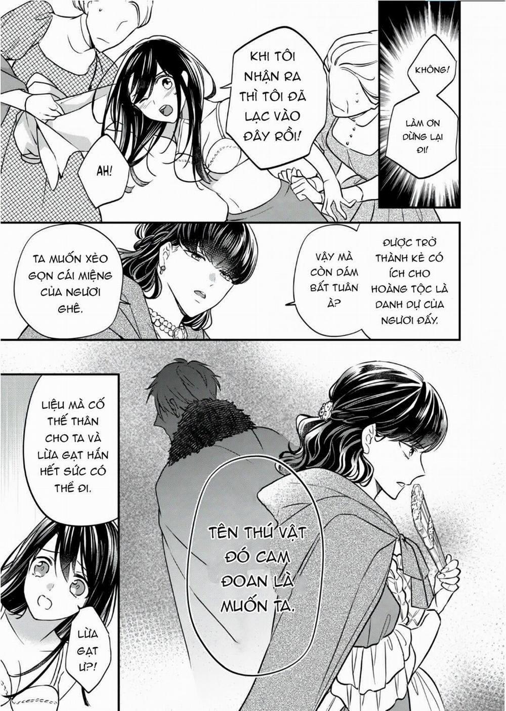 Xuyên Vào Thế Giới Khác, Trở Thành Thế Thân Cho Công Chúa Rồi Bị Bạo Chúa Mang Đi 1.2 trang 4