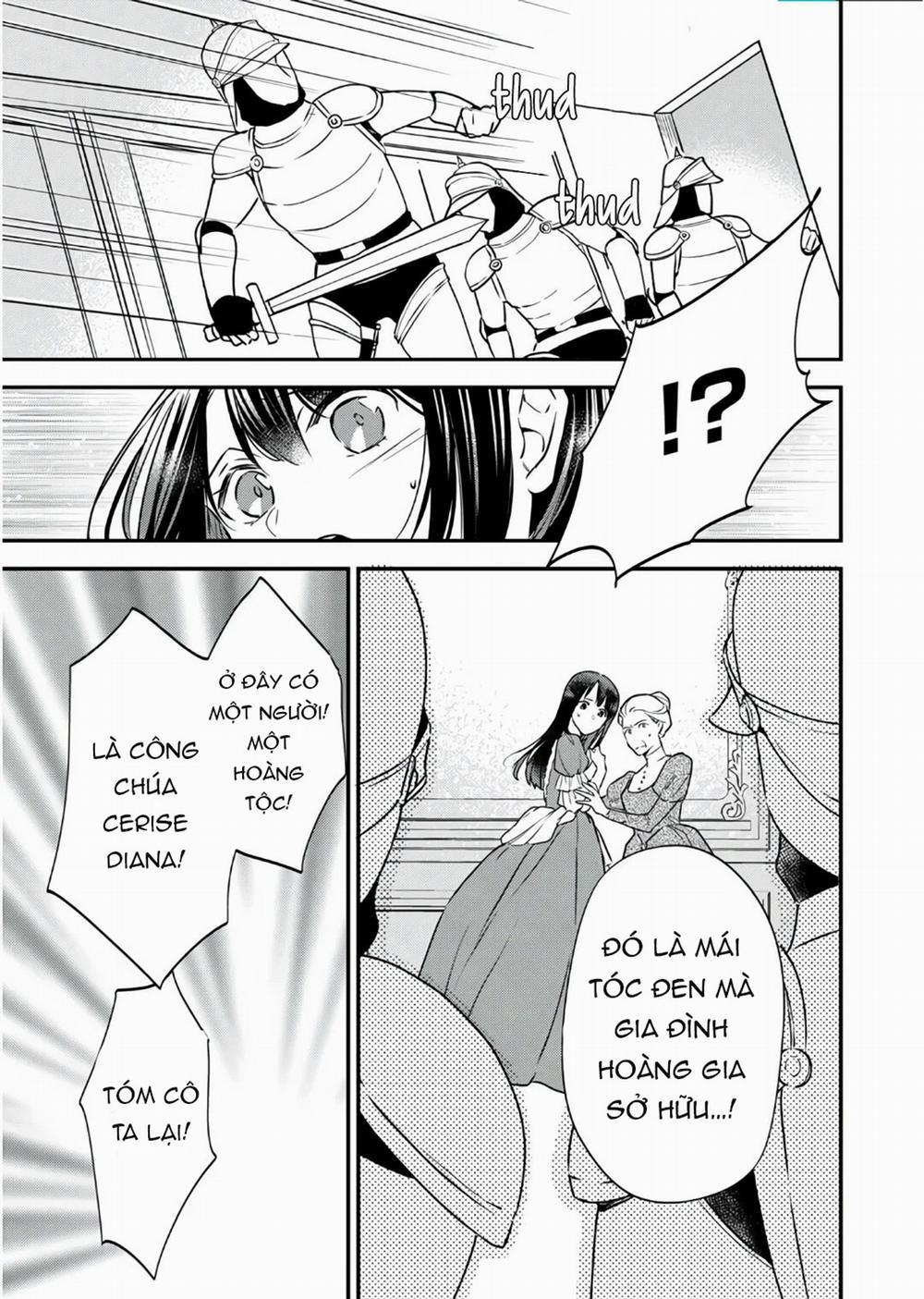 Xuyên Vào Thế Giới Khác, Trở Thành Thế Thân Cho Công Chúa Rồi Bị Bạo Chúa Mang Đi 1.2 trang 8