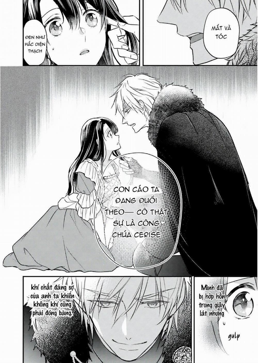 Xuyên Vào Thế Giới Khác, Trở Thành Thế Thân Cho Công Chúa Rồi Bị Bạo Chúa Mang Đi 1.3 trang 3