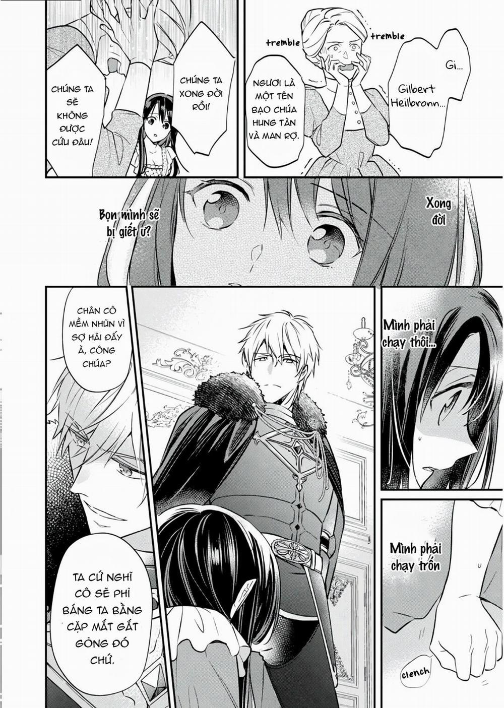 Xuyên Vào Thế Giới Khác, Trở Thành Thế Thân Cho Công Chúa Rồi Bị Bạo Chúa Mang Đi 1.3 trang 5