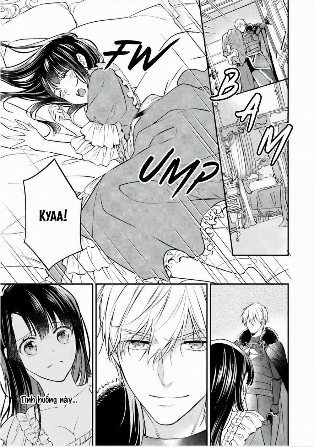 Xuyên Vào Thế Giới Khác, Trở Thành Thế Thân Cho Công Chúa Rồi Bị Bạo Chúa Mang Đi 2.1 trang 8