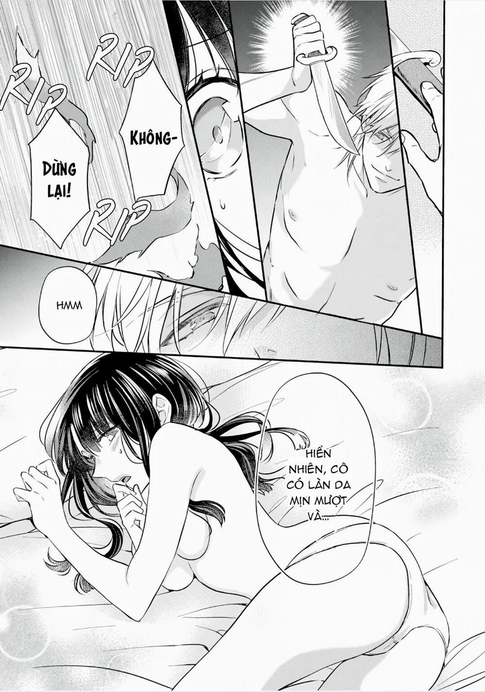 Xuyên Vào Thế Giới Khác, Trở Thành Thế Thân Cho Công Chúa Rồi Bị Bạo Chúa Mang Đi 2.2 trang 1