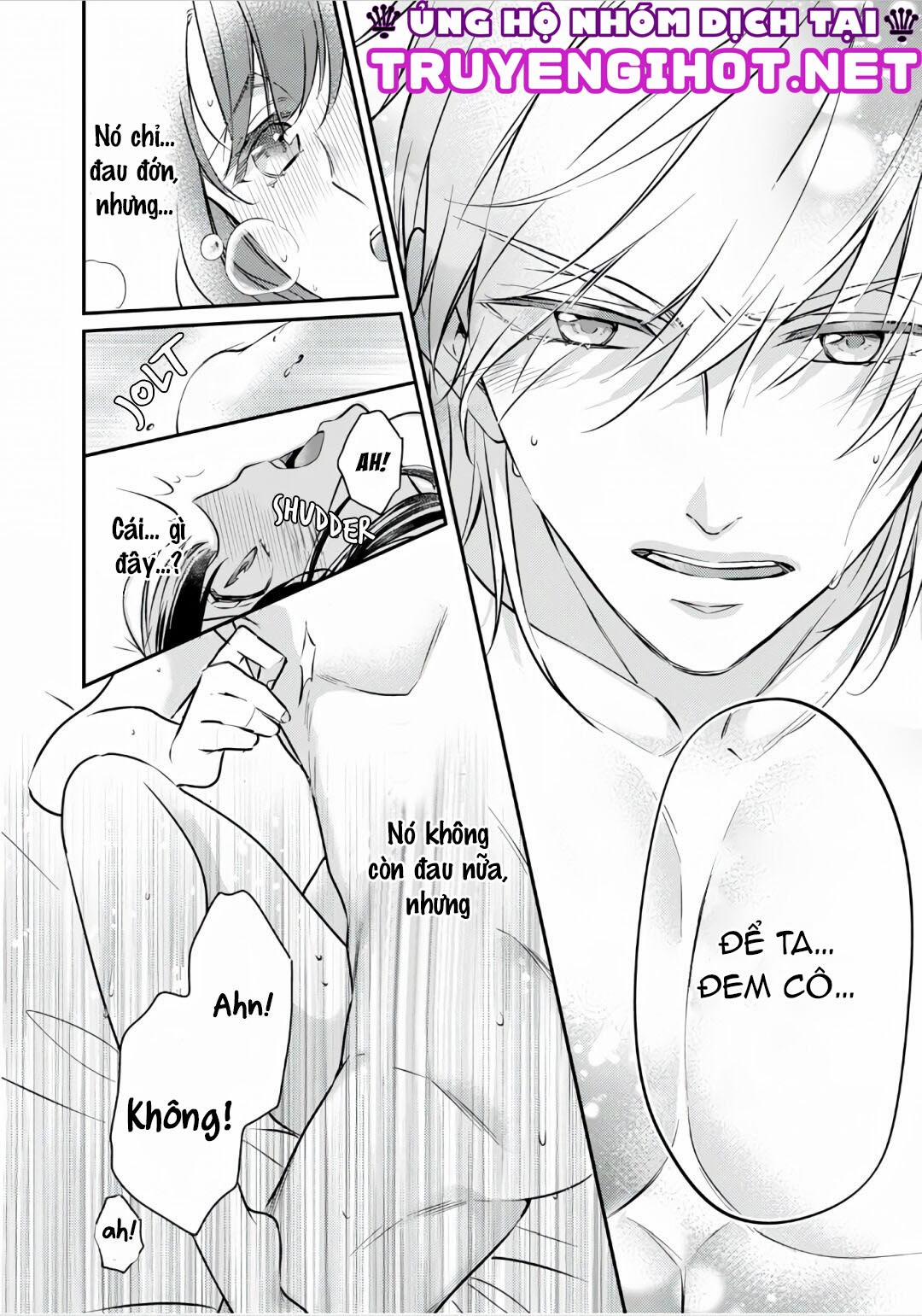 Xuyên Vào Thế Giới Khác, Trở Thành Thế Thân Cho Công Chúa Rồi Bị Bạo Chúa Mang Đi 2.2 trang 10