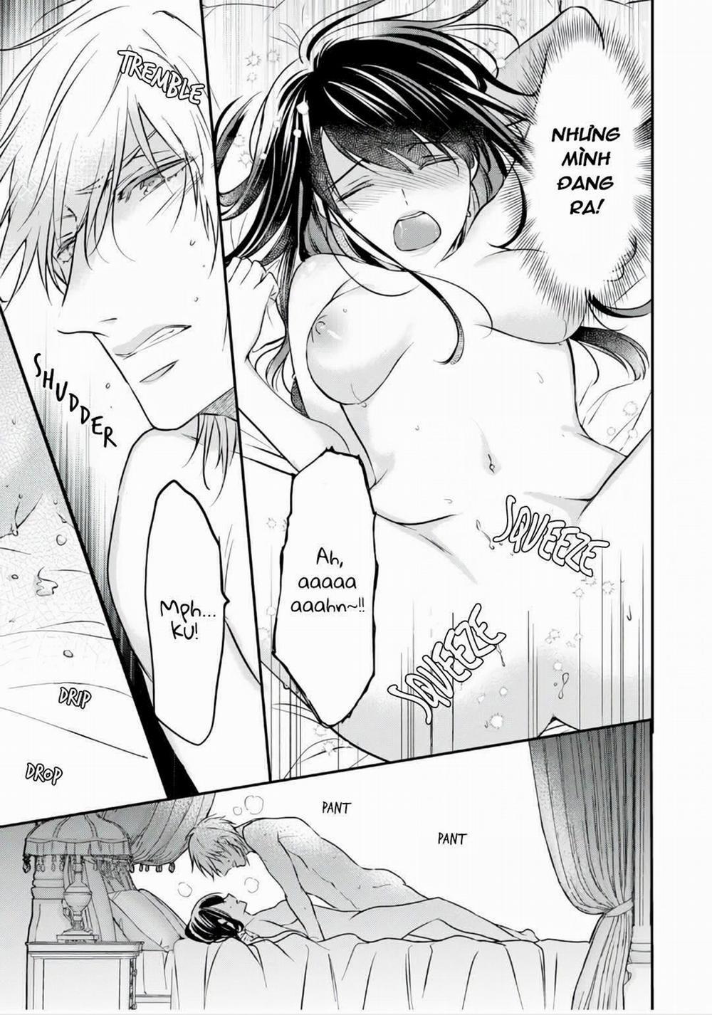 Xuyên Vào Thế Giới Khác, Trở Thành Thế Thân Cho Công Chúa Rồi Bị Bạo Chúa Mang Đi 2.2 trang 11