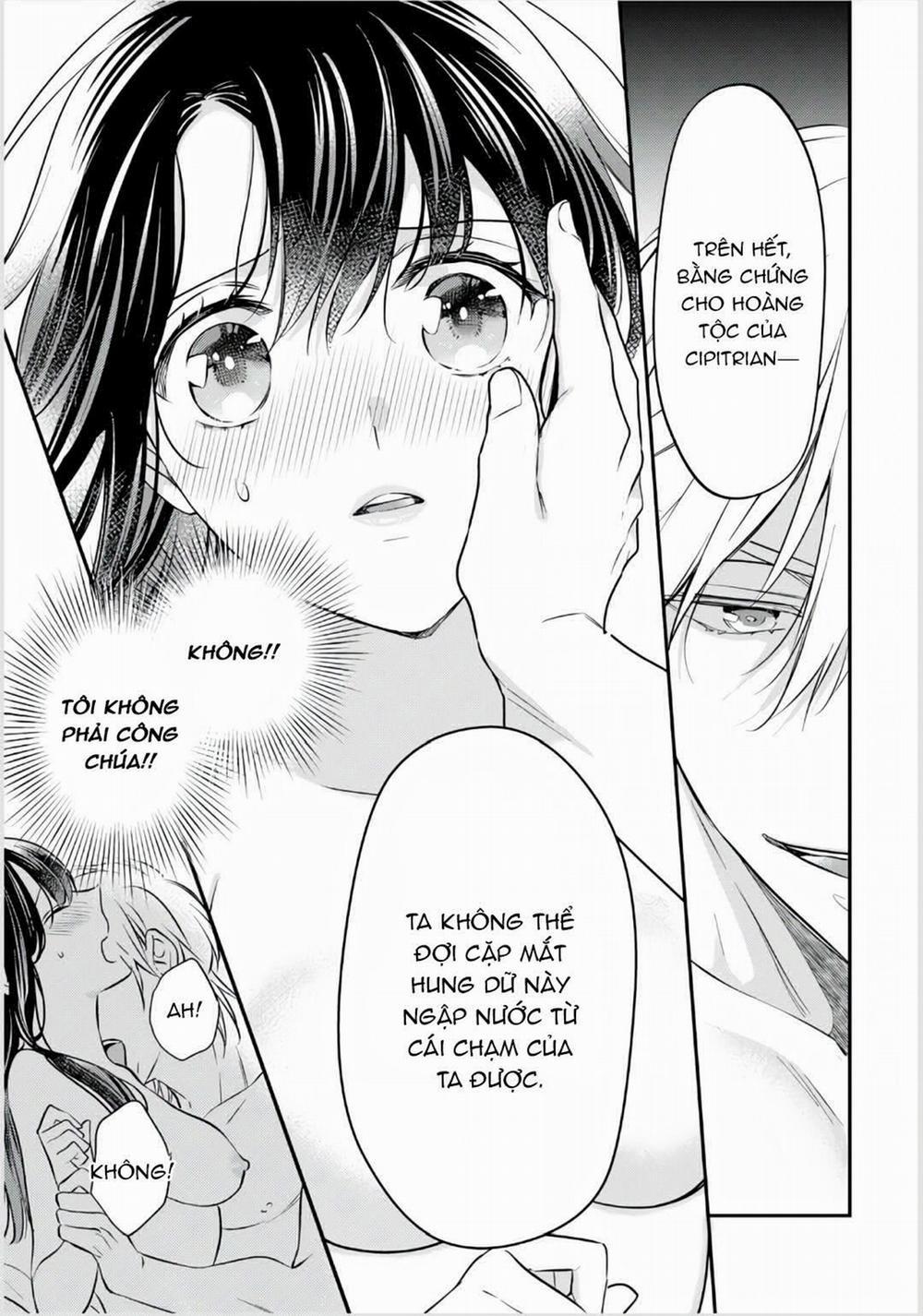 Xuyên Vào Thế Giới Khác, Trở Thành Thế Thân Cho Công Chúa Rồi Bị Bạo Chúa Mang Đi 2.2 trang 3