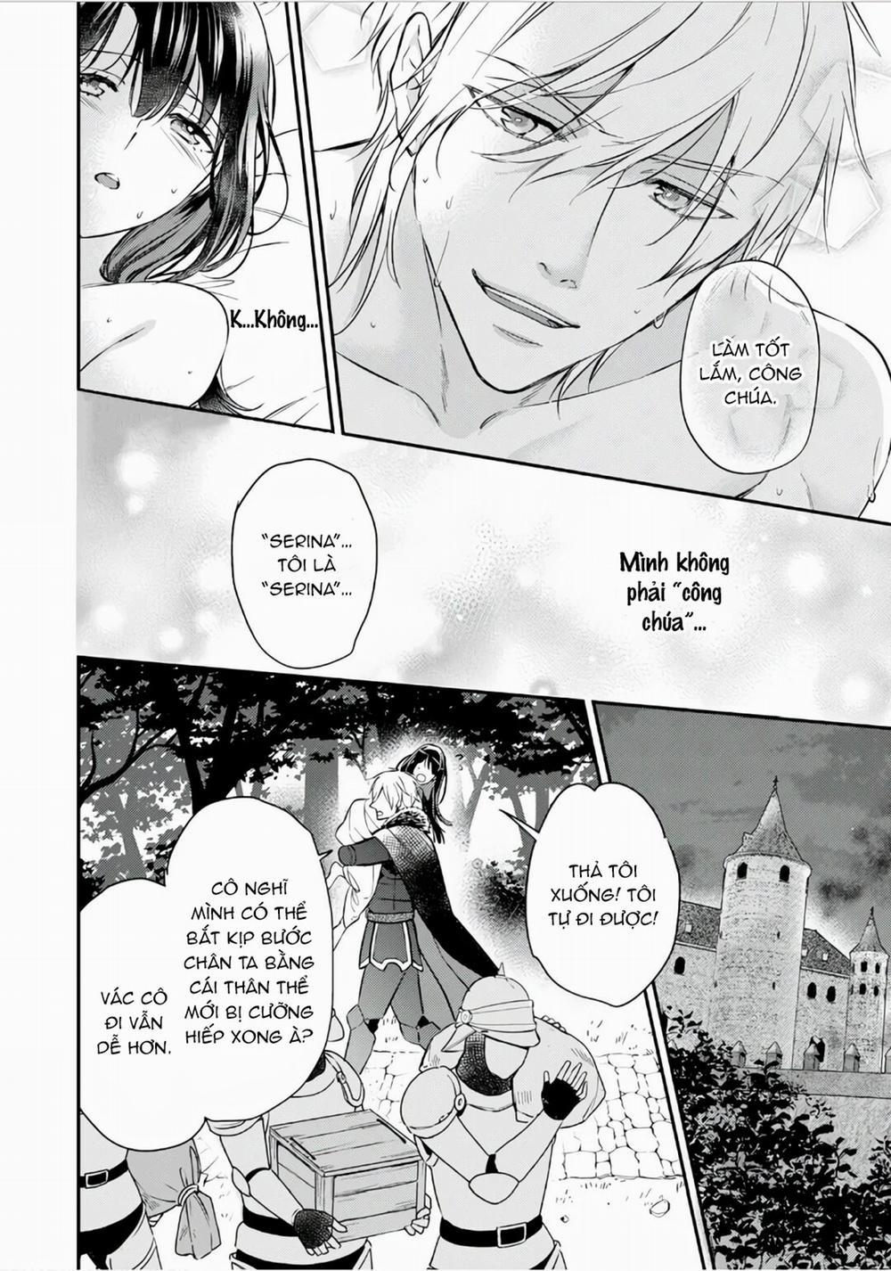 Xuyên Vào Thế Giới Khác, Trở Thành Thế Thân Cho Công Chúa Rồi Bị Bạo Chúa Mang Đi 2.3 trang 0