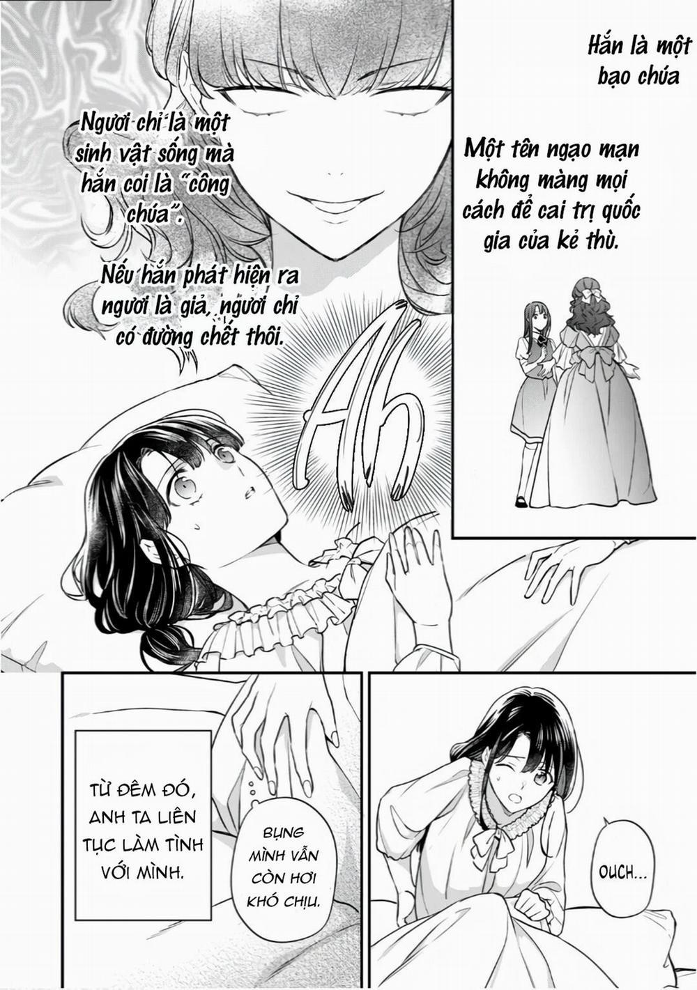 Xuyên Vào Thế Giới Khác, Trở Thành Thế Thân Cho Công Chúa Rồi Bị Bạo Chúa Mang Đi 4.1 trang 15