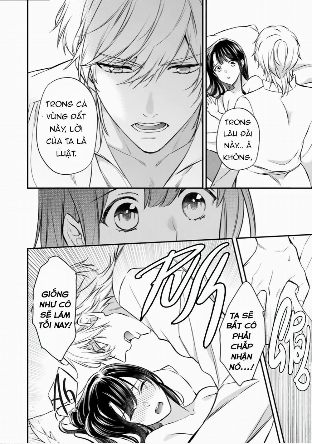 Xuyên Vào Thế Giới Khác, Trở Thành Thế Thân Cho Công Chúa Rồi Bị Bạo Chúa Mang Đi 4.1 trang 3