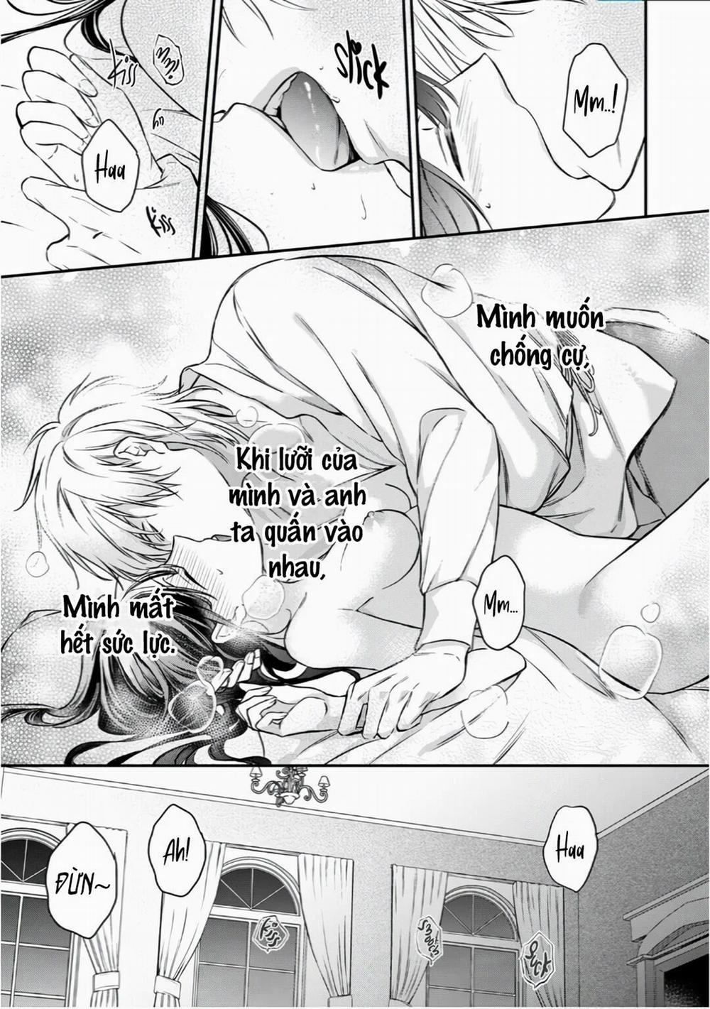 Xuyên Vào Thế Giới Khác, Trở Thành Thế Thân Cho Công Chúa Rồi Bị Bạo Chúa Mang Đi 4.1 trang 4