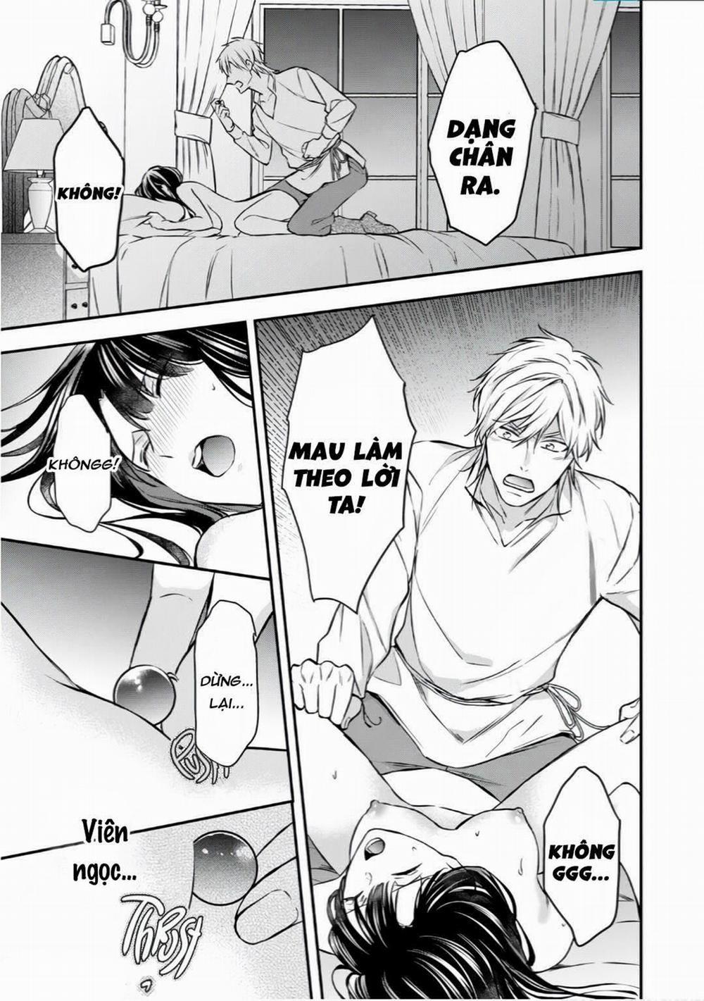 Xuyên Vào Thế Giới Khác, Trở Thành Thế Thân Cho Công Chúa Rồi Bị Bạo Chúa Mang Đi 4.1 trang 6