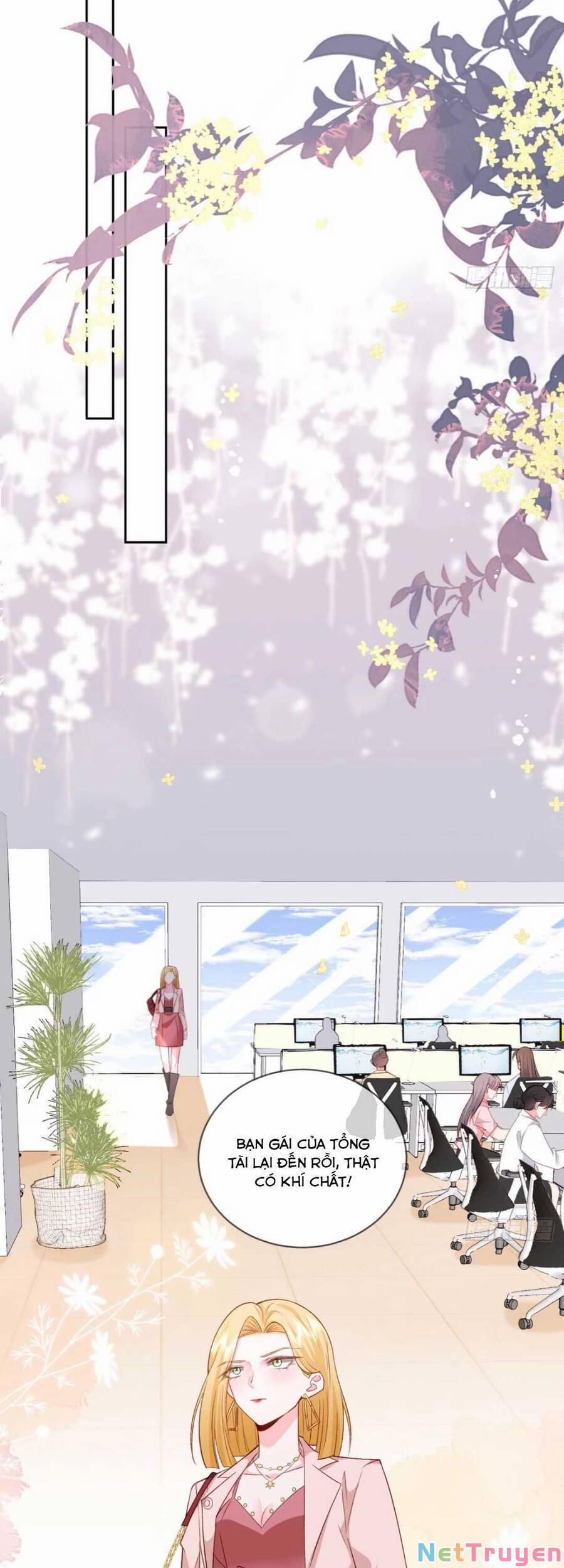 Xuyên Vào Tiểu Thuyết Chinh Phục Tổng Tài 19 trang 17