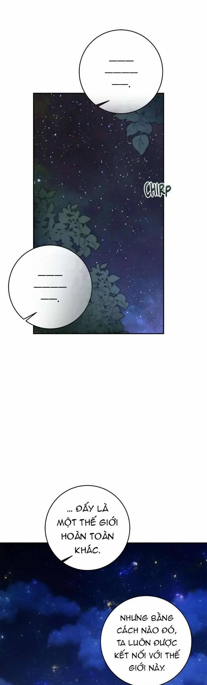 Xuyên Vào Tiểu Thuyết Làm Nữ Hoàng Tàn Độc 123 trang 17