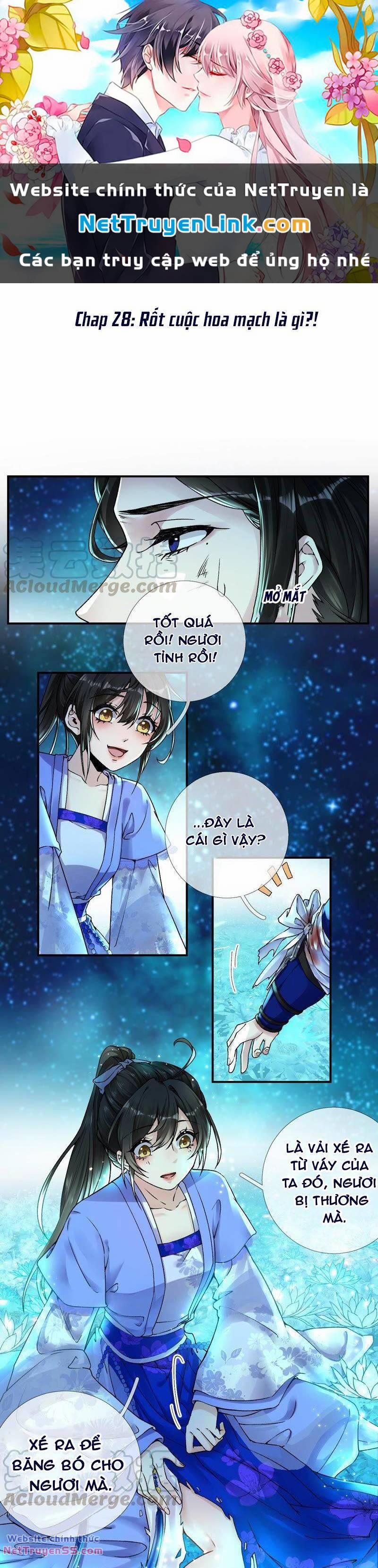 Xuyên Về Cổ Đại Làm Nữ Phụ Vô Dụng 28 trang 0