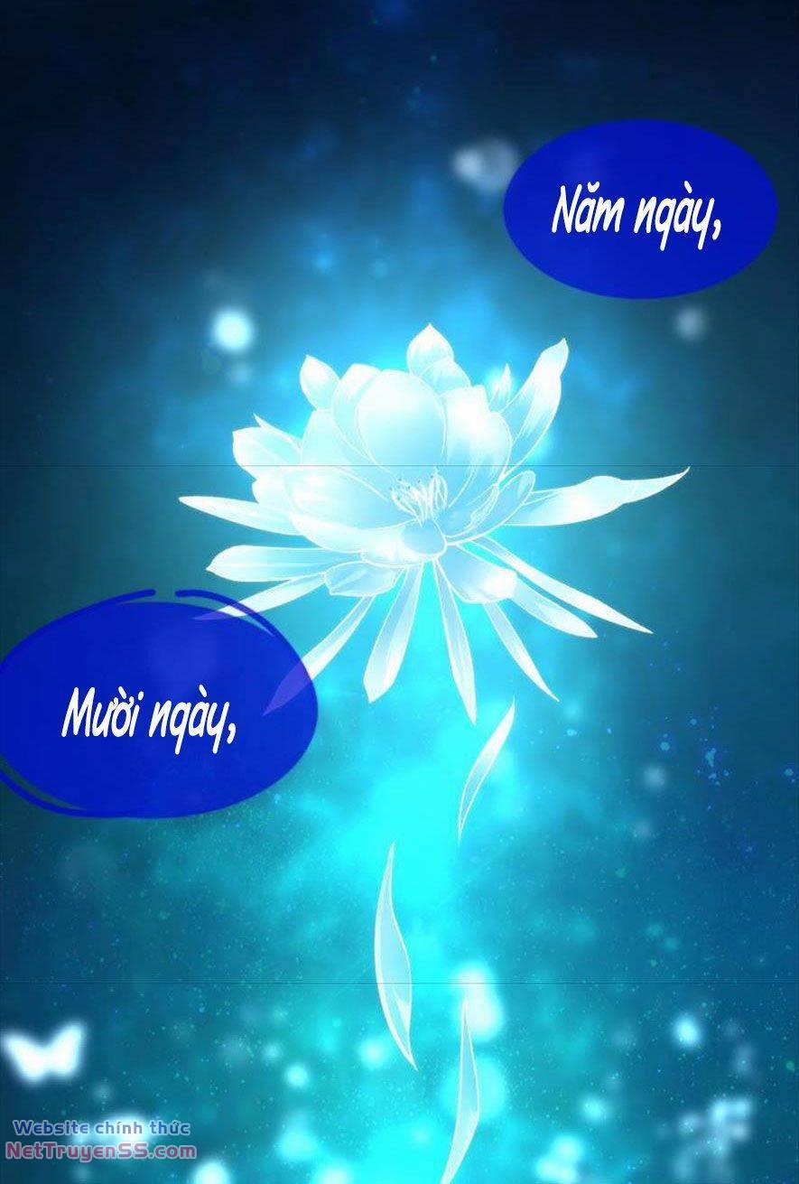 Xuyên Về Cổ Đại Làm Nữ Phụ Vô Dụng 32 trang 13