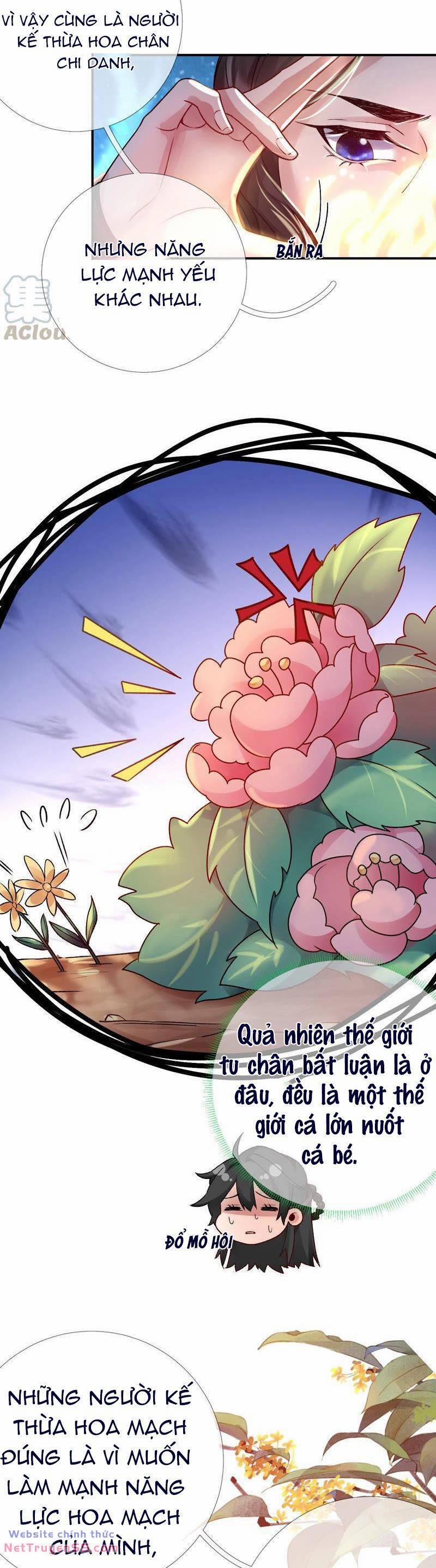 Xuyên Về Cổ Đại Làm Nữ Phụ Vô Dụng 40 trang 13