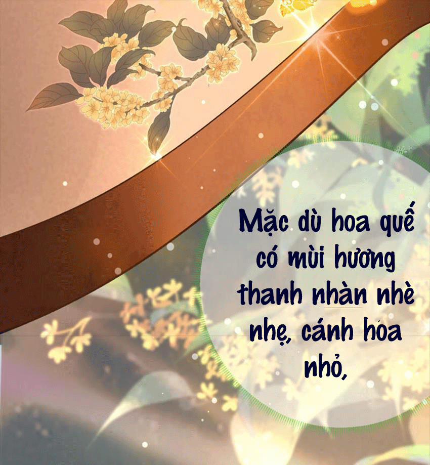 Xuyên Về Cổ Đại Làm Nữ Phụ Vô Dụng 43 trang 35