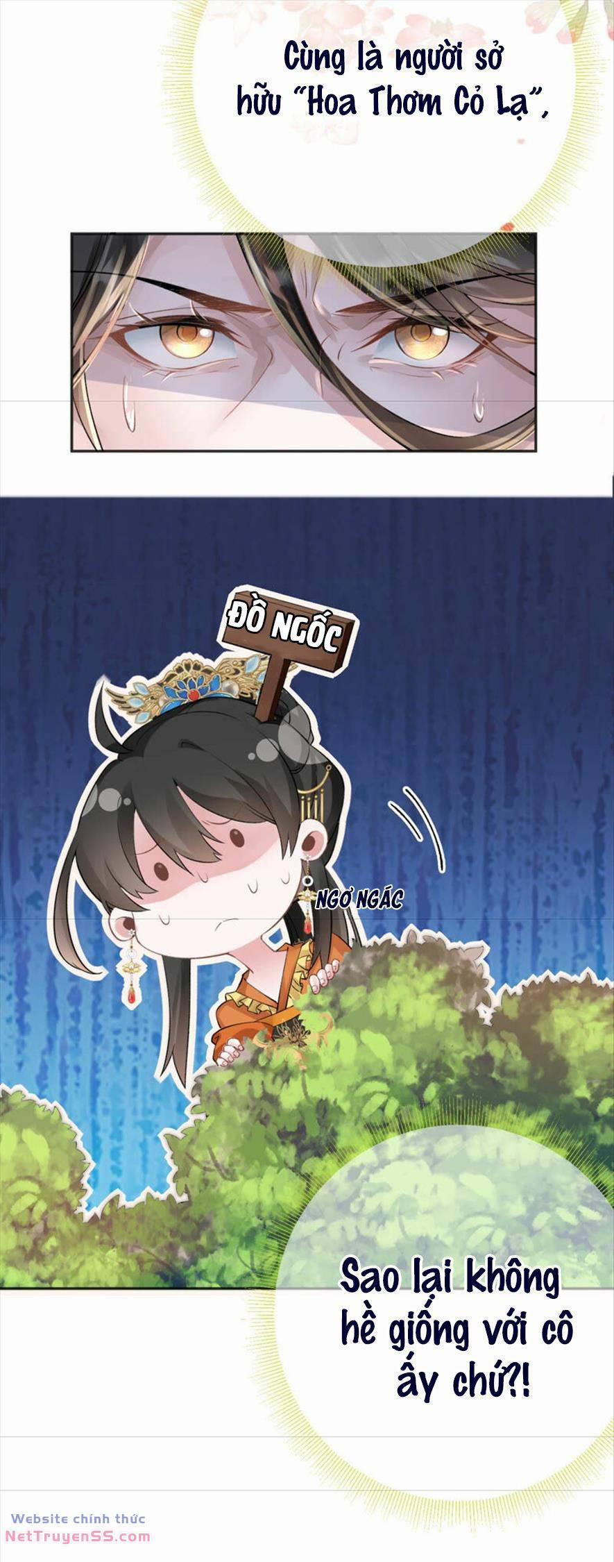 Xuyên Về Cổ Đại Làm Nữ Phụ Vô Dụng 49 trang 9