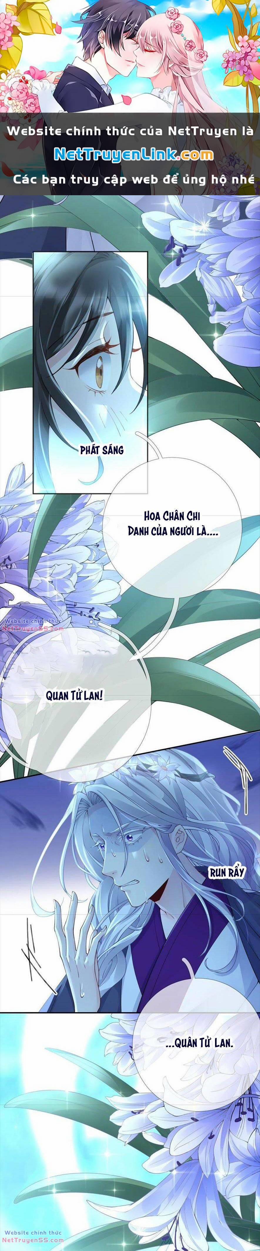 Xuyên Về Cổ Đại Làm Nữ Phụ Vô Dụng 66 trang 0