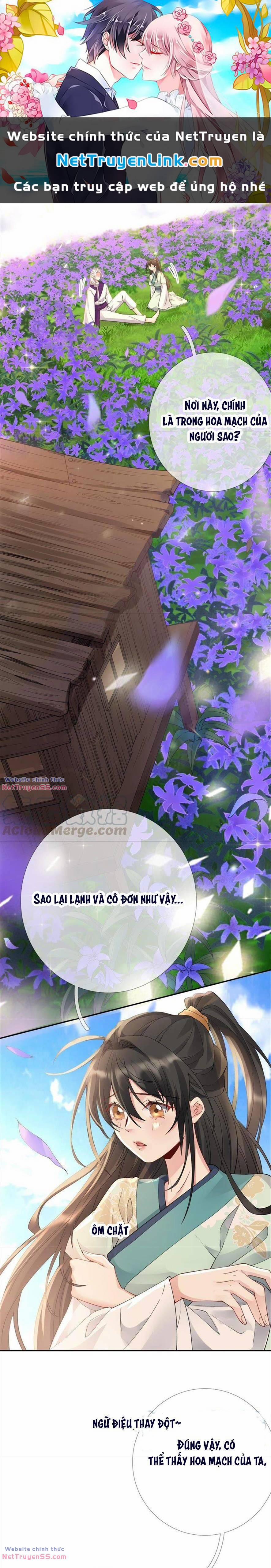 Xuyên Về Cổ Đại Làm Nữ Phụ Vô Dụng 67 trang 0