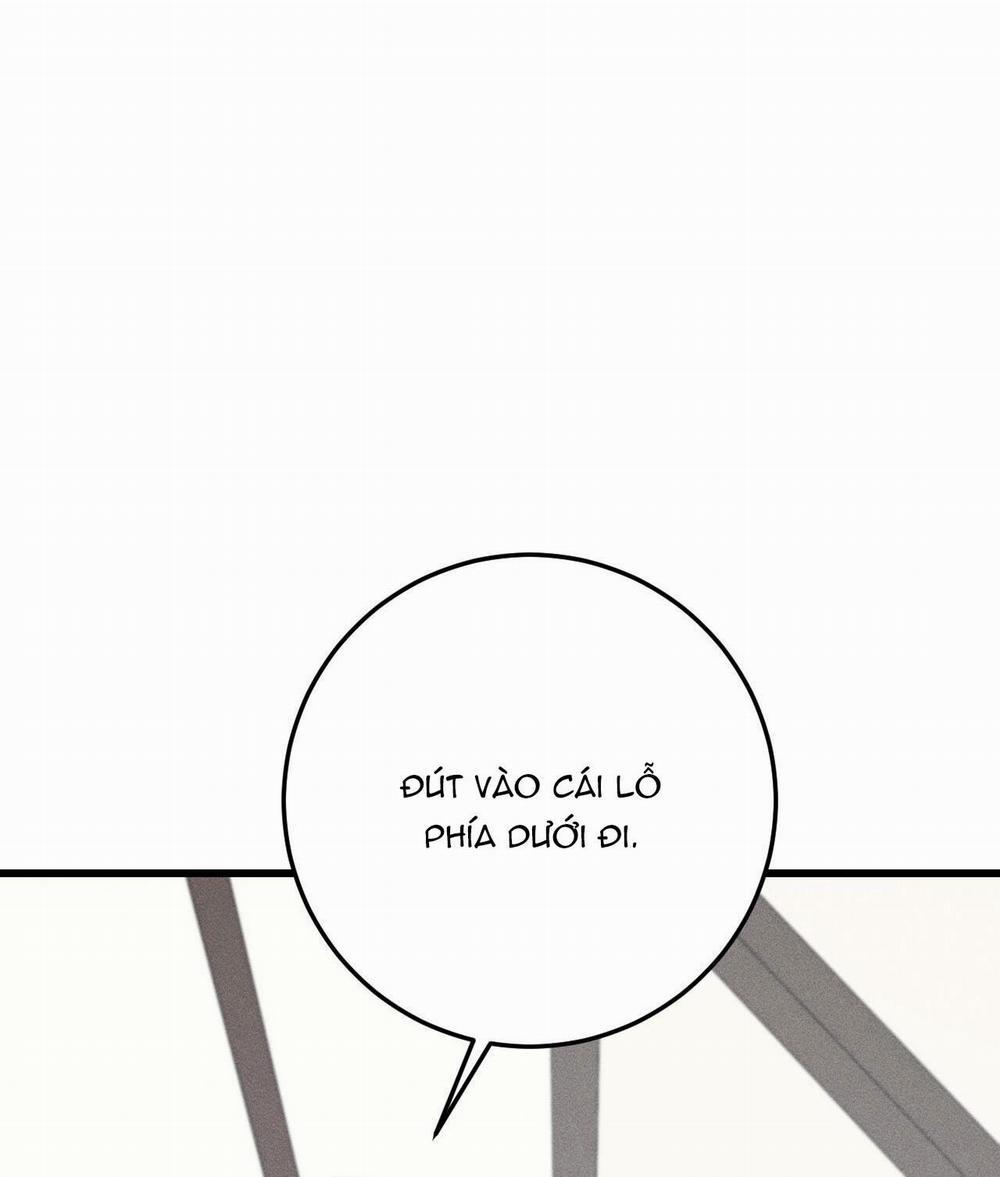 Xx Đê Tiện 11 trang 3