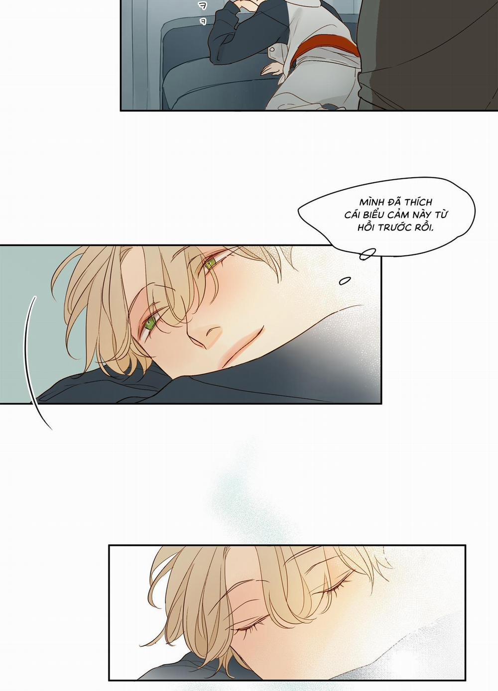 Ý nghĩa của một ánh nhìn 1 trang 19